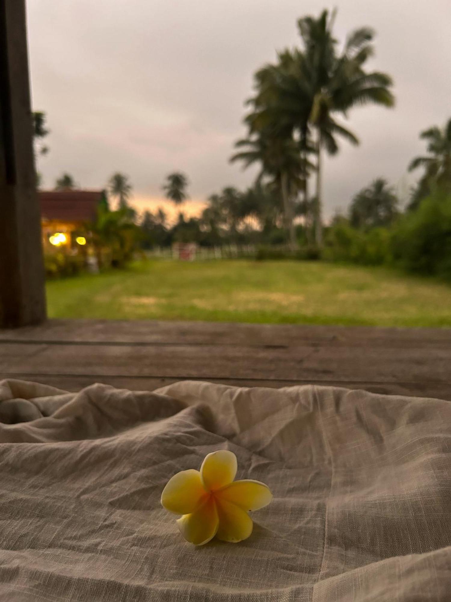 Linkgreen Homestay Lombok Tetebatu Exterior foto