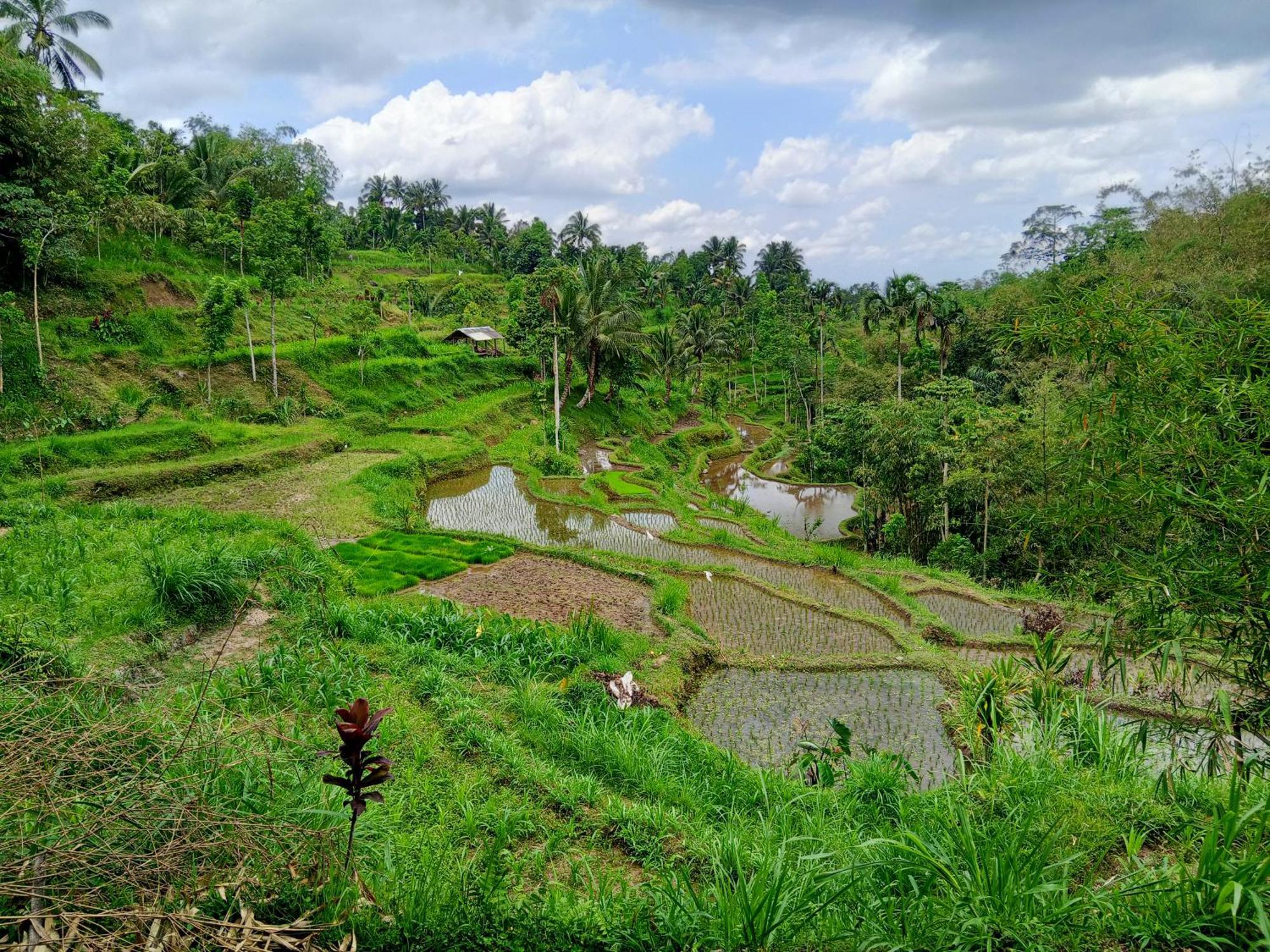 Linkgreen Homestay Lombok Tetebatu Quarto foto